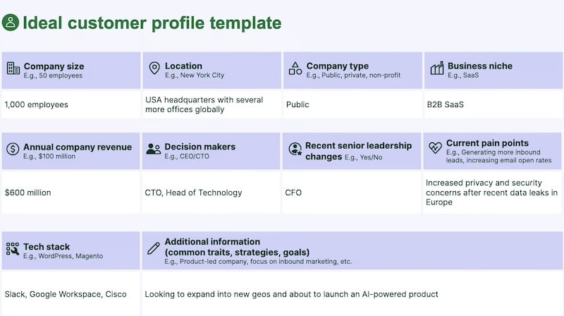 Ideal customer profile example